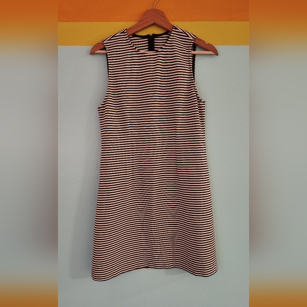 Everlane 90s Dream Shift Dress Black And White L